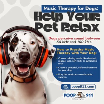 POOP 911 - Pet Waste Removal Near Me