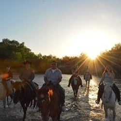 Everything Equine