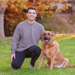 André Fox Photography & Filmmaking - Pet Photography