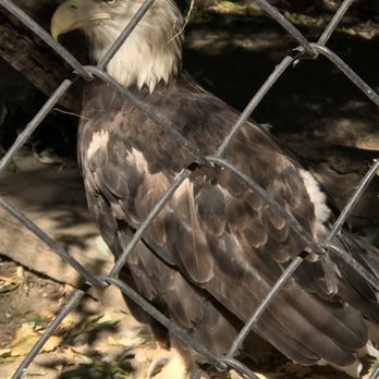 Zoo Boise - First time I've seen one of these (I'm British...)! - Zoos Near Me - Boise, Idaho