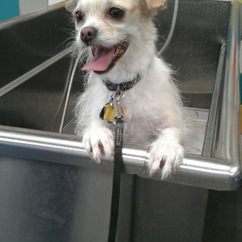 Unleashed by Petco - so fresh and so clean - Pet Stores Near Me - San Leandro, California