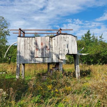 Langlais Art Preserve - Elephant - Parks Near Me - Cushing, Maine
