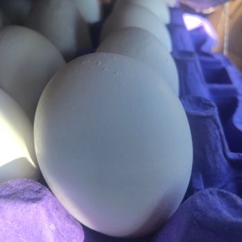 Demler Brothers Egg Basket - Farmers Market Near Me - Ramona, California Demler Brothers Egg Basket - Farmers Market Near Me - Ramona, California