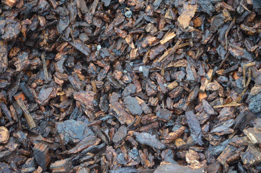 SOUTHWEST GARDEN SUPPLIES LTD Updated October 2024 17 Photos 4838