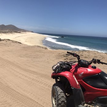Cactus Tours - Tours Near Me - Cabo San Lucas, BCS