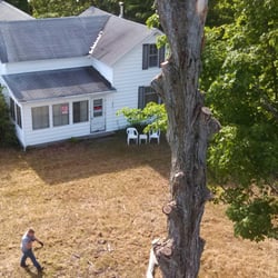 Williams Tree Service