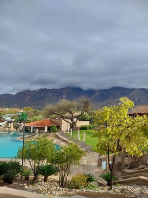 The Westin La Paloma Resort & Spa by null