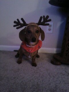 Slide of Pinky's Plumbing