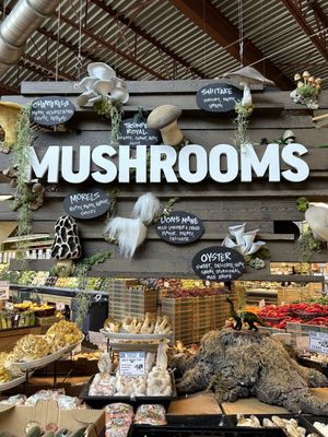 Central Market by null