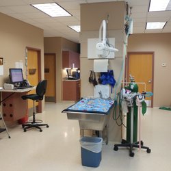 Boysen Animal Hospital - Treatment area
