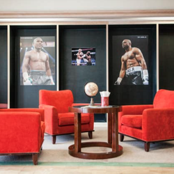 Knockout Nutrition