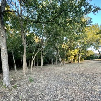 Lumberjack Tree Service - Clean up of backyard to turn a thick forest area into a park like setting. - Tree Services Near Me