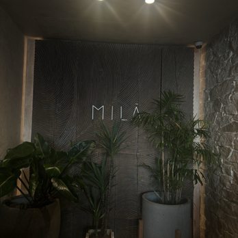 MILA Restaurant - Mediterranean Near Me - Miami Beach, Florida MILA Restaurant - Mediterranean Near Me - Miami Beach, Florida
