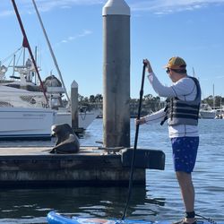 Paddle Method - Check out the sea life