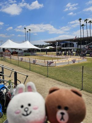 LA County Fair by null