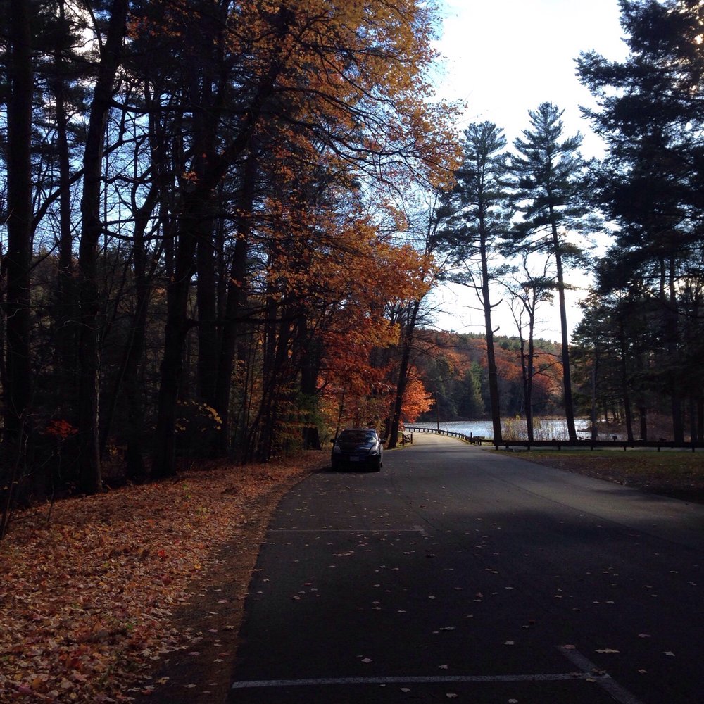 Mount Tom State Reservation - Entrance - Hiking Near Me - Holyoke, Massachusetts Mount Tom State Reservation - Entrance - Hiking Near Me - Holyoke, Massachusetts