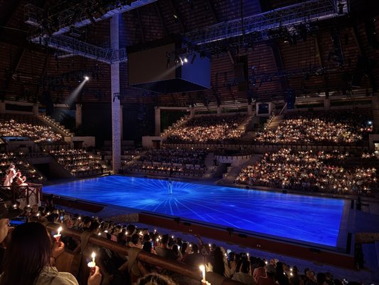 Xcaret Park by null