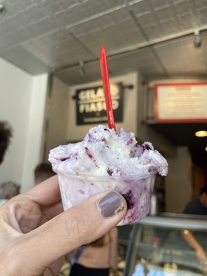 Maine Day Ventures/ formerly Maine Foodie Tours by null