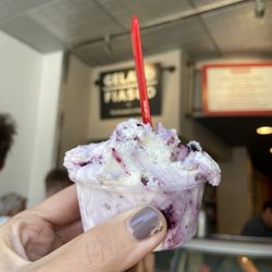 Maine Day Ventures - Wild Maine blueberry crisp gelato
