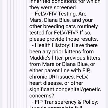 Dobrev Coons Cattery - Pet Breeders Near Me