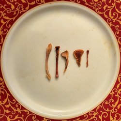Amigos Deli And Supermarket - There were 6 bones found in the Pan Con Pollo. One piece broke into tiny shards when bitten, so it was spit into the trash.