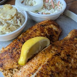 Red Snapper Fillet Red Snapper Fillet