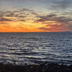 Pedro's - View of the sunset from the back patio