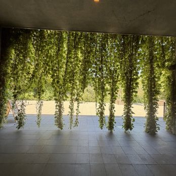 Caymus Vineyards - Wineries Near Me - Rutherford, California