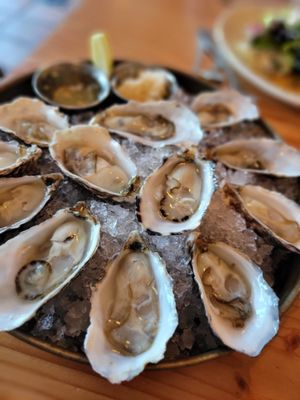 Saltwater Fish House & Oyster Bar by null