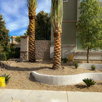 Delfino Maintenance & Landscaping - Artificial Turf Near Me Delfino Maintenance & Landscaping - Artificial Turf Near Me