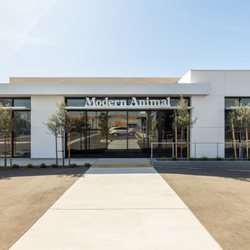 Modern Animal Manhattan Beach