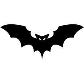 Arrow Exterminators - Bat exclusion is one of our specialties. - Pest Control Near Me - Ashland, Virginia Arrow Exterminators - Bat exclusion is one of our specialties. - Pest Control Near Me - Ashland, Virginia