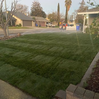 5 Star Gardening - a green lawn with a fire hydrant - Irrigation Near Me 5 Star Gardening - a green lawn with a fire hydrant - Irrigation Near Me