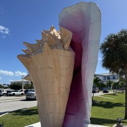 The Giant Key West Conch - Giant Conch Shell