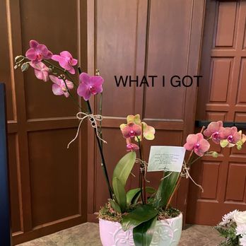Blossom Shop Florists - WHAT I GOT - Florists Near Me - Corpus Christi, Texas