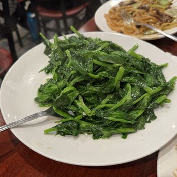 Shanghai Zhen Gongfu - Shanghainese Near Me - Elmhurst, New York Shanghai Zhen Gongfu - Shanghainese Near Me - Elmhurst, New York