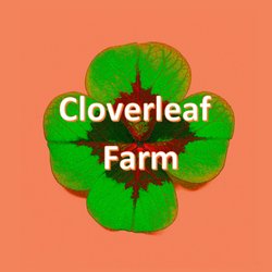 Cloverleaf Farm - Cloverleaf Farm