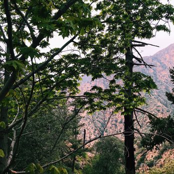Dawn Mine Hike - Some views along the path to Dawn Mine - Hiking Near Me - Altadena, California