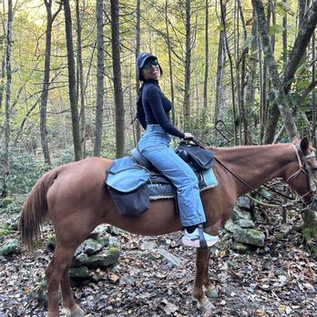 Horseshoe Creek Riding Stable - Horseback Riding Near Me