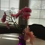 Photo of Colonial Gardens Alzheimer's Special Care Center