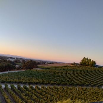 Bovino Vineyards - a view of a vineyard at sunset - Wineries Near Me - Templeton, California Bovino Vineyards - a view of a vineyard at sunset - Wineries Near Me - Templeton, California
