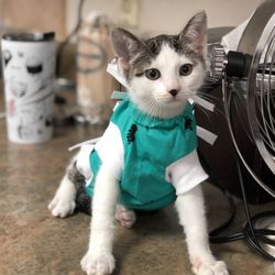 user provided Northern Oaks Bird & Animal Hospital photo