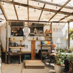 Visit our coffee oasis at Flowerland in Albany