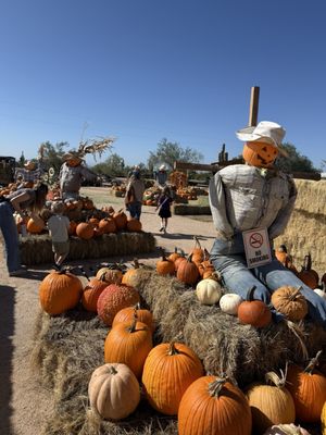 MacDonald's Ranch by null