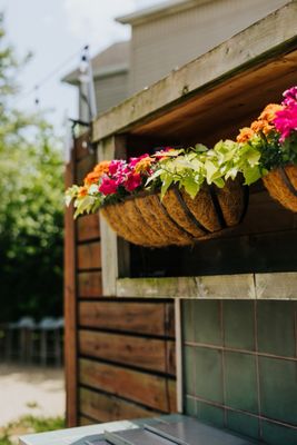 Naive Latin Inspired Kitchen + Bar by null