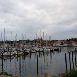 Jessens Fischperle