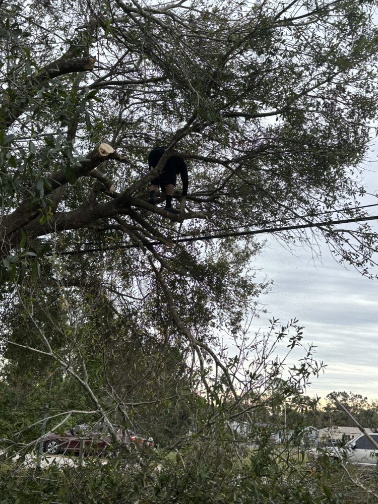 Slide of JD Masonry & More