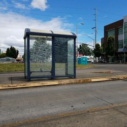 Hollywood Transit Center - The flowers left in memorial are all dead and need to be cleaned up. The messages left in chalk on the walls have started to fade.