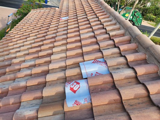 Wildcat Roofing & Restoration