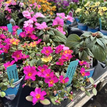 Cirian's Farmers Market - Nurseries & Gardening Near Me - Omaha, Nebraska